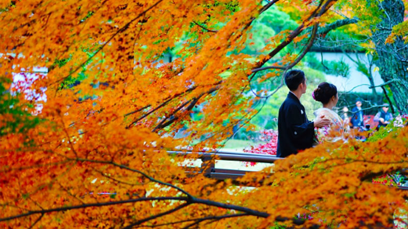 和装前撮りで外せない後ろ姿ショット